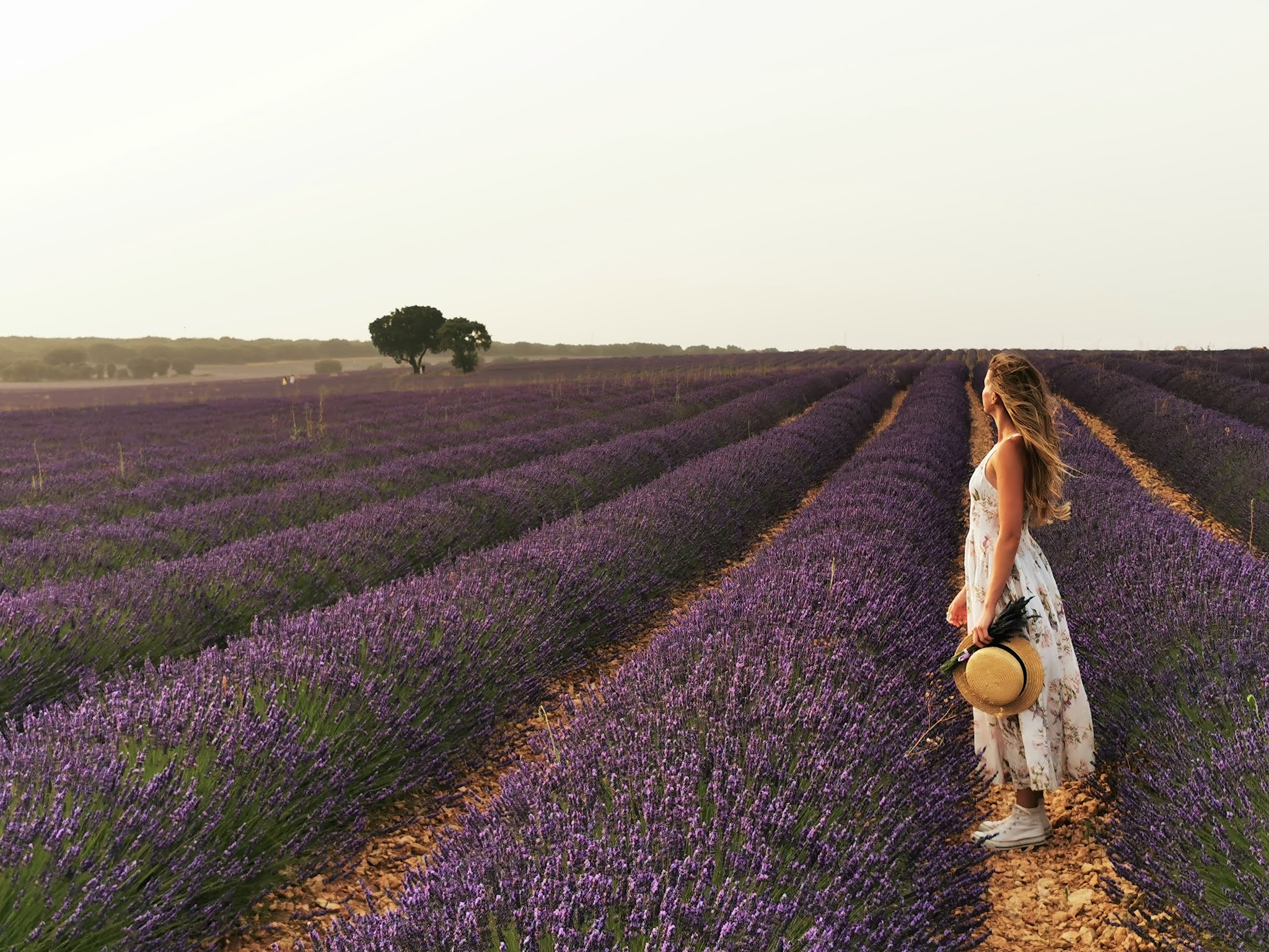 Vestido blanco de flores entre lavanda