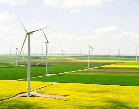 Largest Onshore Wind Farms (by Capacity)