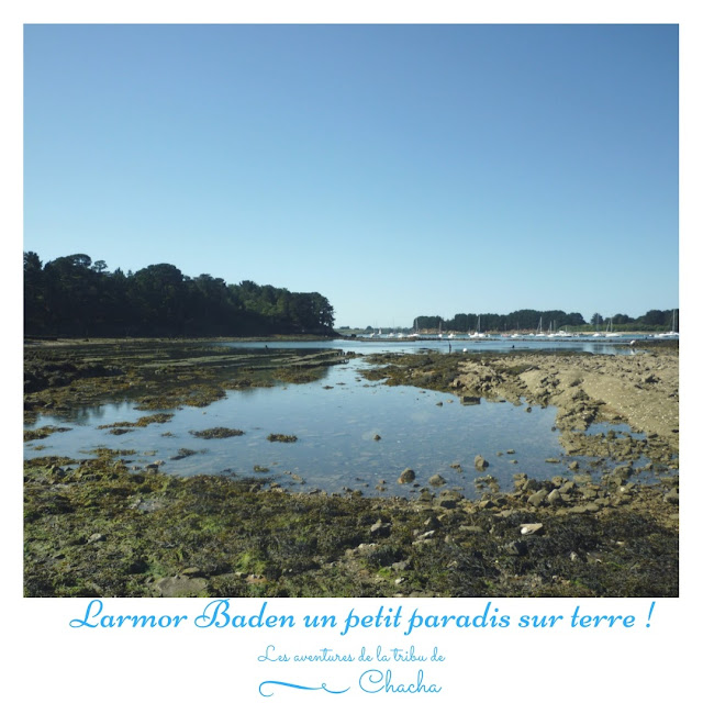 larmorbadenmorbihanfrancebretagne