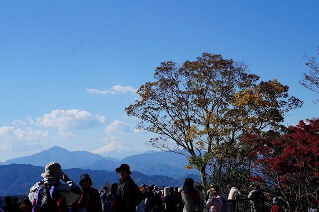 高尾山風景