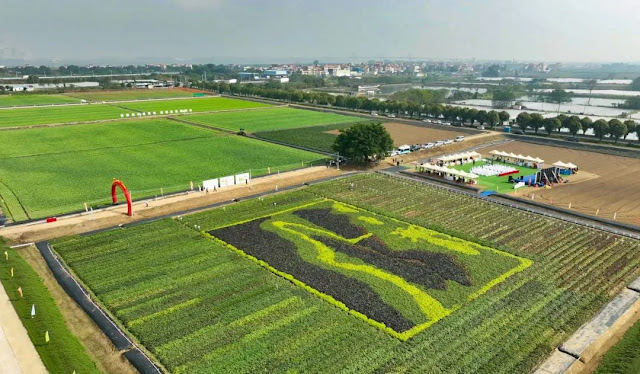 The 2024 Zhaoqing Sweet Potato Industry Development and Tasting Conference will be held in Dinghu