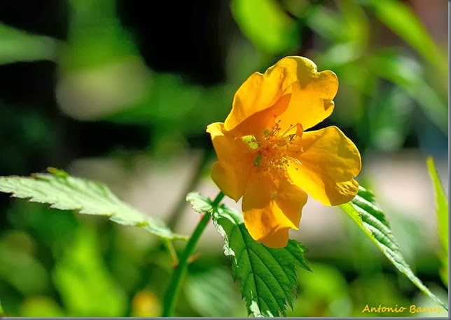 1 DSC_7890x1