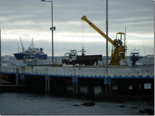 IMGP8956