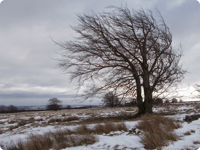 doctors gate moor