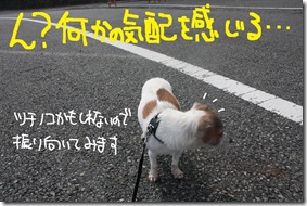 今日カズ１００６０４　２