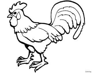 Best Rooster Coloring Pages For Print