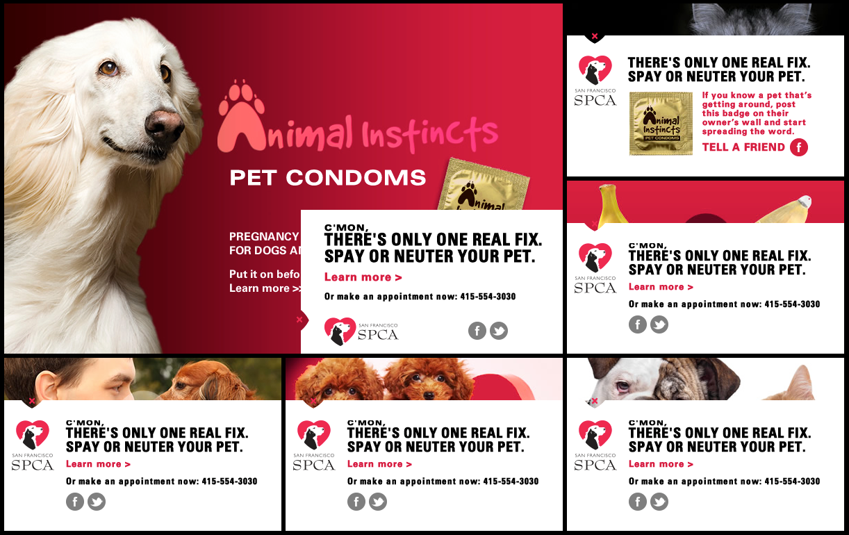 petcondoms2.png