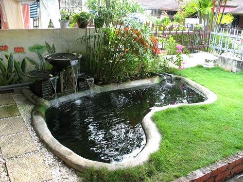 Fish Pond Landscaping