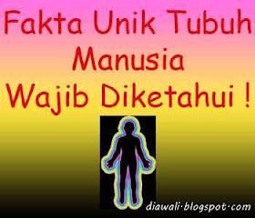 Artikel kali ini membahas tentang Fakta Unik Tubuh Manusia Wajib Diketahui. Sebagai manusia tentu kita wajib mengetahui fakta dibalik tubuh manusia itu sendiri.