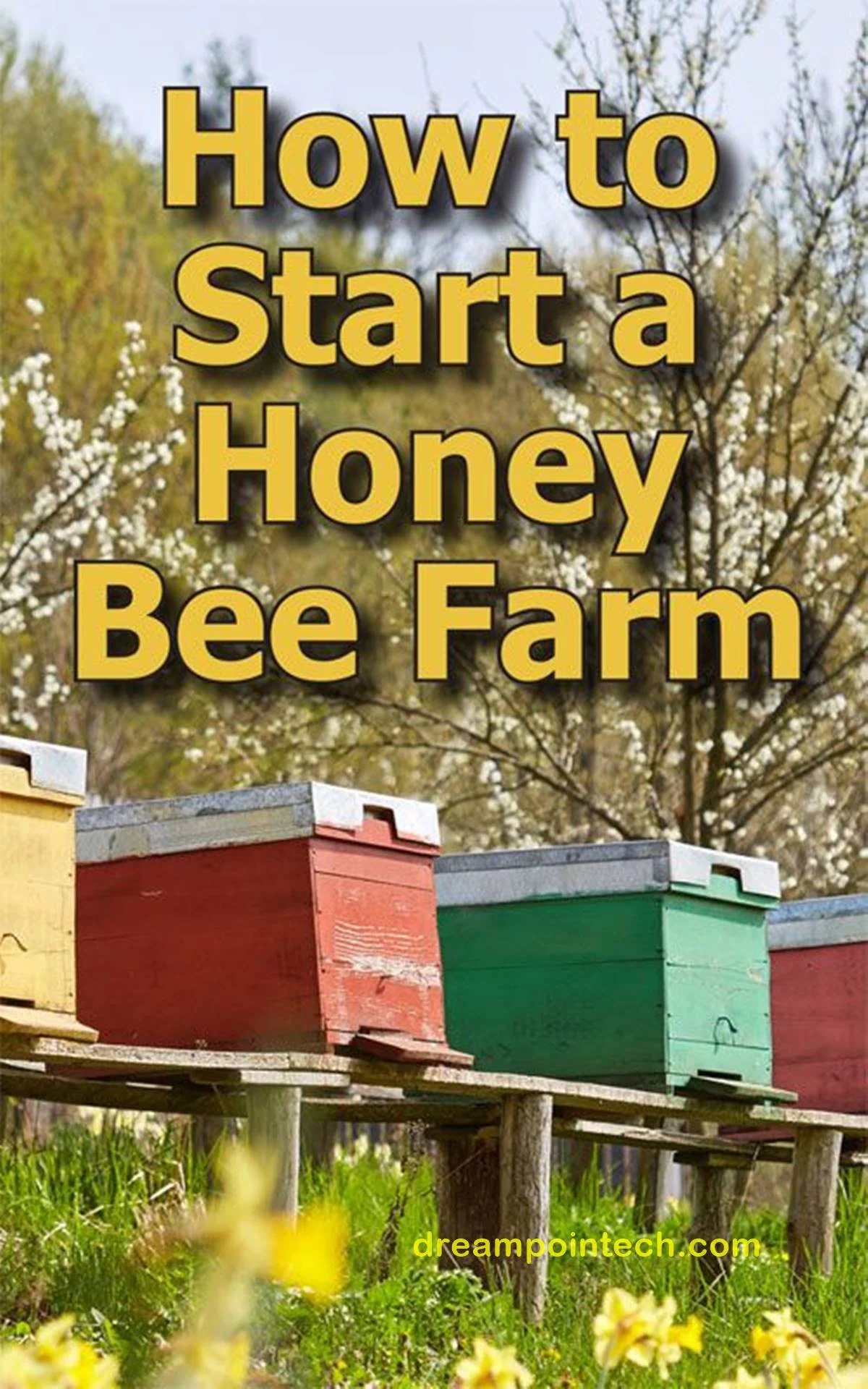 How To Start Profitable Bee Farming In Cameroon