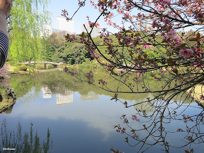 scenic view, Tokyo