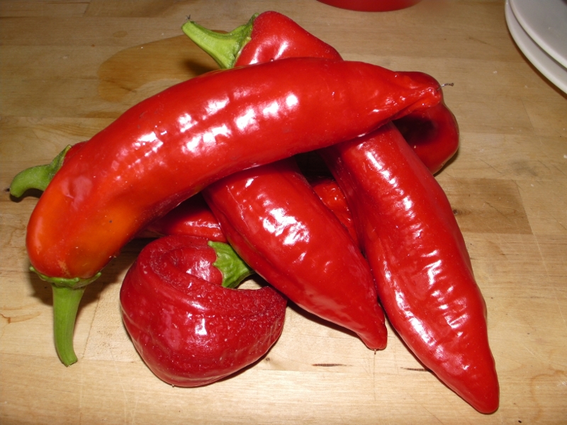 120 things in 20 years: Aquaponics - Sweet Romano Peppers ...