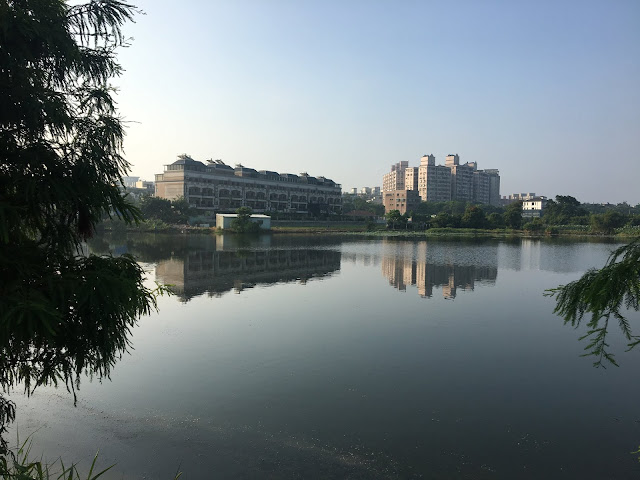 平鎮悅湖園大池塘的景色變化