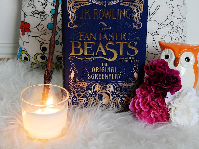 Fantastic Beasts And Where To Find Them No Spoiler Screenplay Review | sprinkledpages