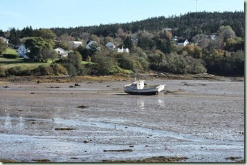 IMG_1299_1024x684
