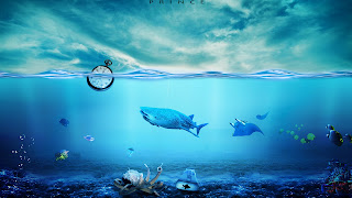 Beautifull Sea HD Desktop Wallpaper Photos
