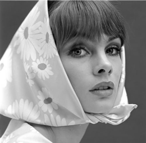 tells the story of the beautiful Jean Shrimpton and iconic photographer