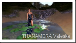 Snapshot_005