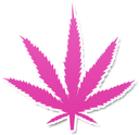 Blog de rafaelababy : ✿╰☆╮Ƹ̵̡Ӝ̵̨̄ƷTudo para orkut e msn, Brushes da folhinha da maconha