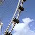 from behind the ferris wheel