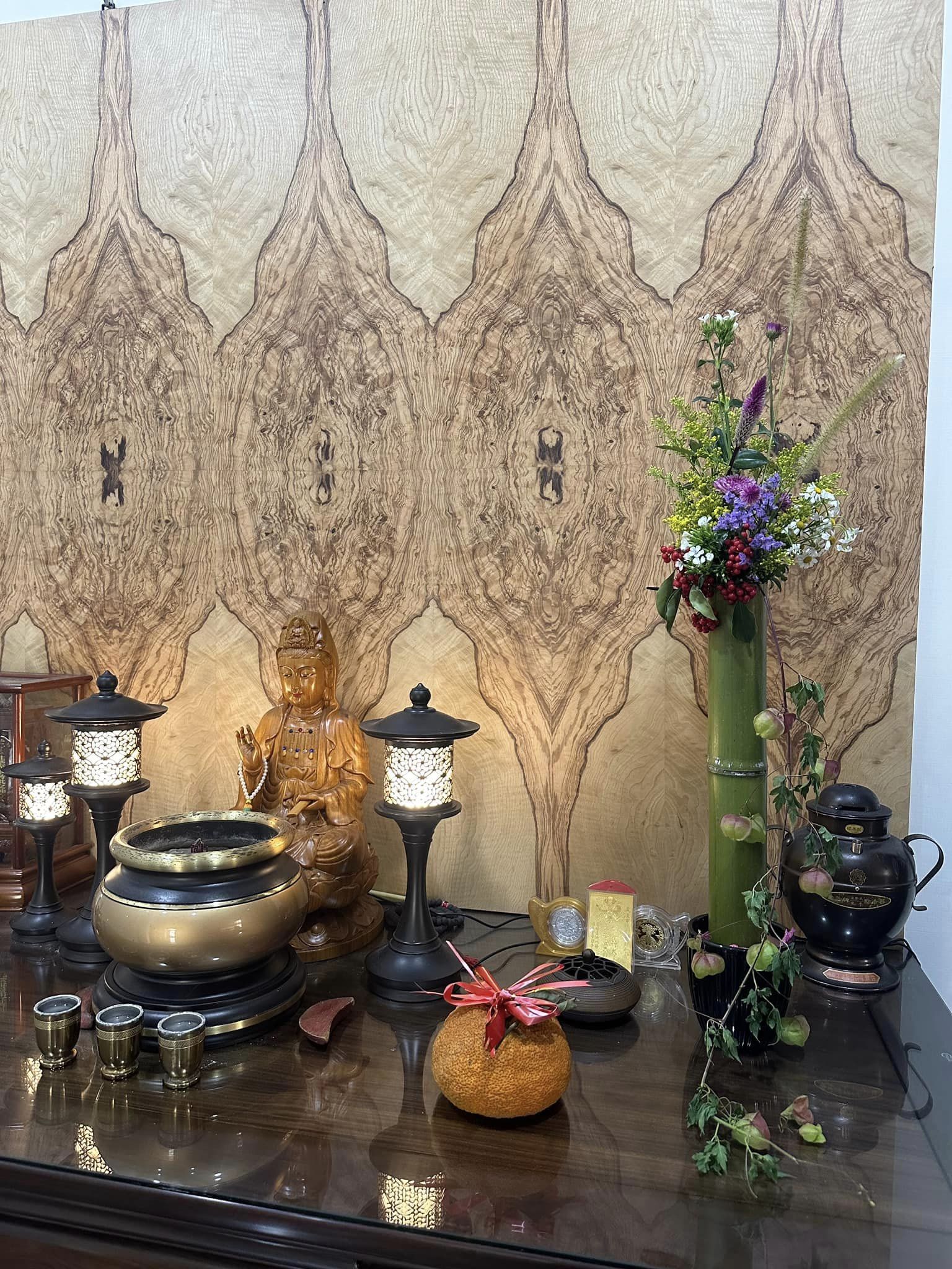 跟著大自然去旅行  休息的字義：（休）人在樹下＇（息）用心對待自己  古人智慧  歷經千萬年而不變  是真智慧  是大智慧