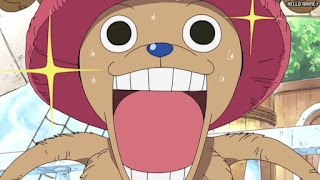 ワンピース アニメ 空島 スカイピア 153話 チョッパー Tony Tony Chopper | ONE PIECE Episode 153 Skypiea