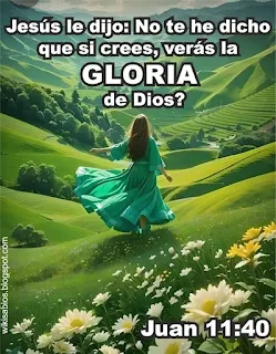 Juan 11:40 Si crees veras la gloria de Dios, No te he dicho que si crees, póster cristiano, imagenes cristianas,