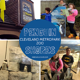 Penguin Shores at Cleveland Metroparks Zoo | iNeedaPlaydate.com