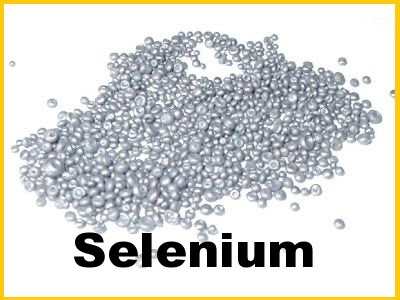 selenium di dalam vita e complex shaklee