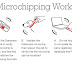 Microchip Implant (animal) - Dog Chip