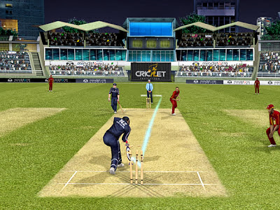 Cricket Game 2011