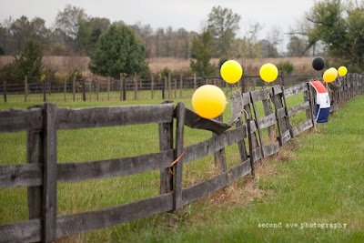 windy, project 52, photoblog, blog hop, Virginia photographer, loudoun county, leesburg, leesburg va, landscape photography, balloons, 