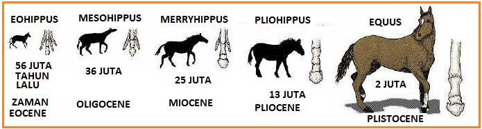 BIOLOGI GONZAGA: CERDAS BIOLOGI