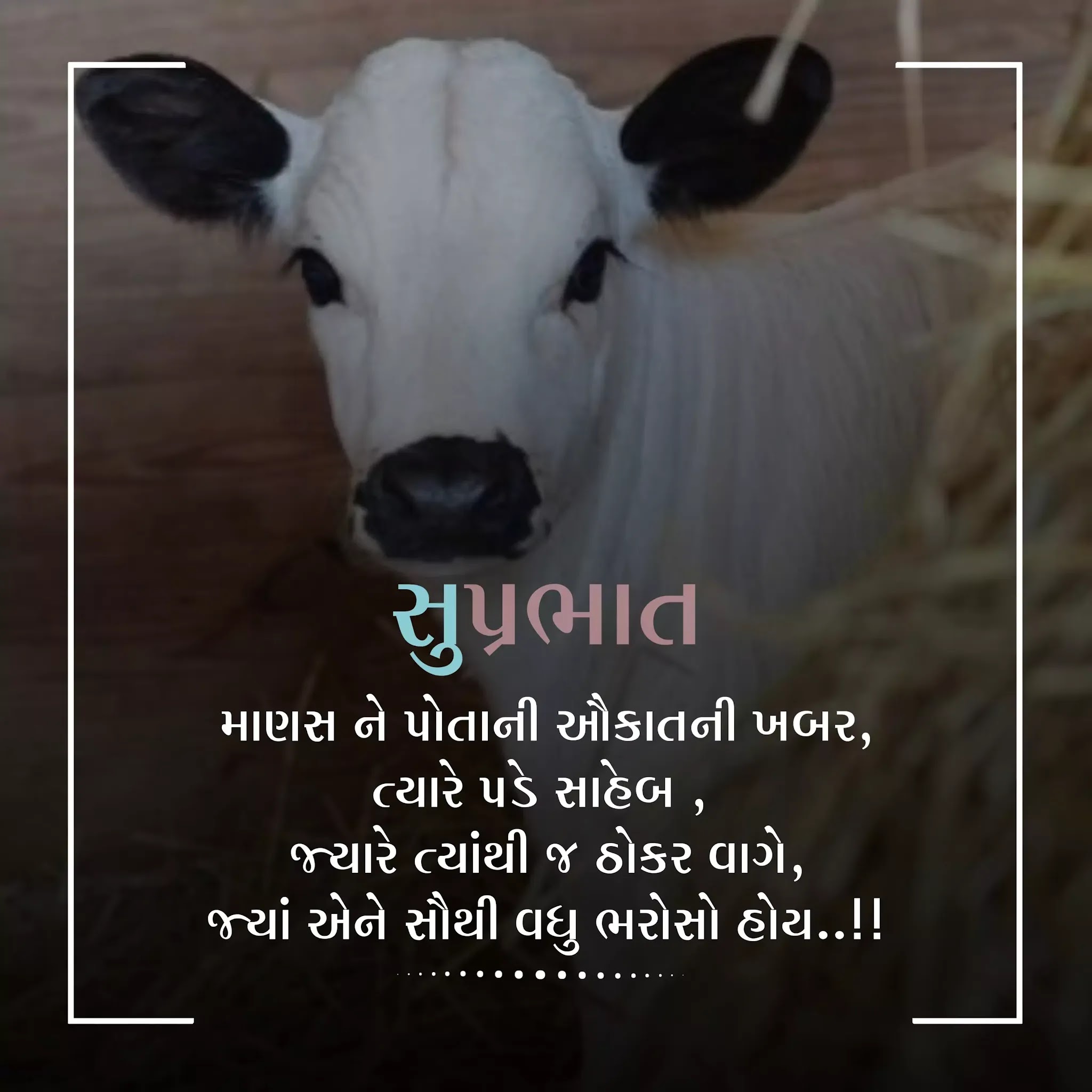 Good Morning Gujarati Images