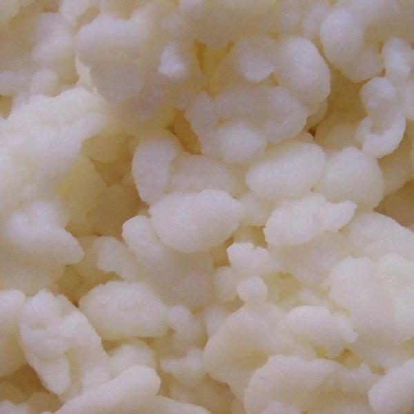 Queijo - Fermentos lácteos para cada tipo de queijos mais populares 