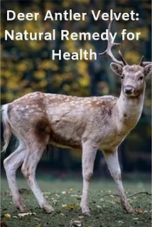 Deer Antler Velvet: A Natural Remedy for Health