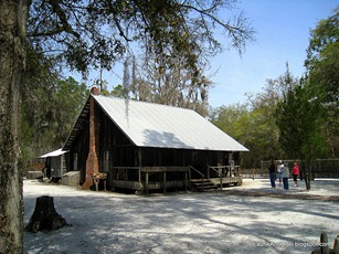 Swamper House