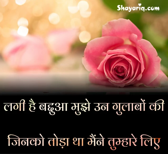 Hindi shayari, photo Quotes, status