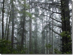 WP_000728
