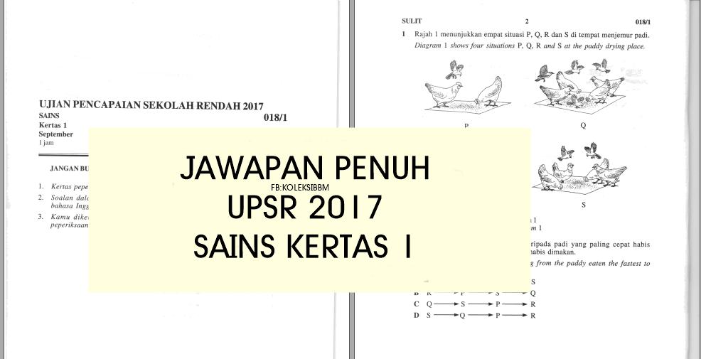 Koleksi Bahan Bantu Belajar (BBM): JAWAPAN PENUH UPSR 2017 