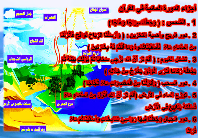 دورة الماء في الطبيعة