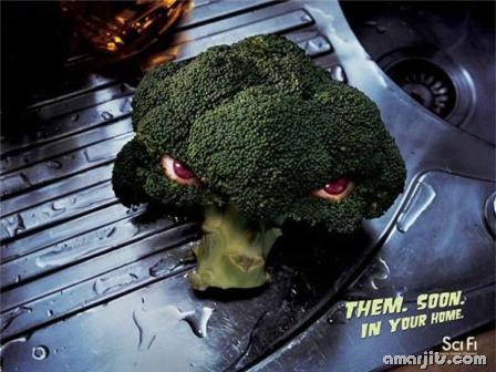 Funny-Pics-amarjits (50)