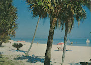 Florida Beaches. On a Beautiful Beach in Florida (florida )