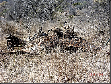 KNP Day 1 38