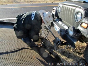 IMG_1519 IMG_1519