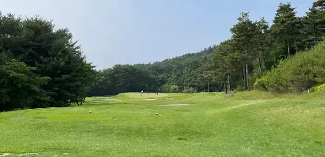 웰리힐리 남코스-인 2번 파 3홀의 모습