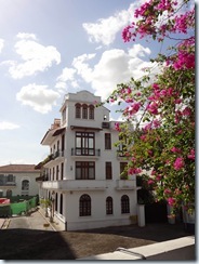 DSC01498