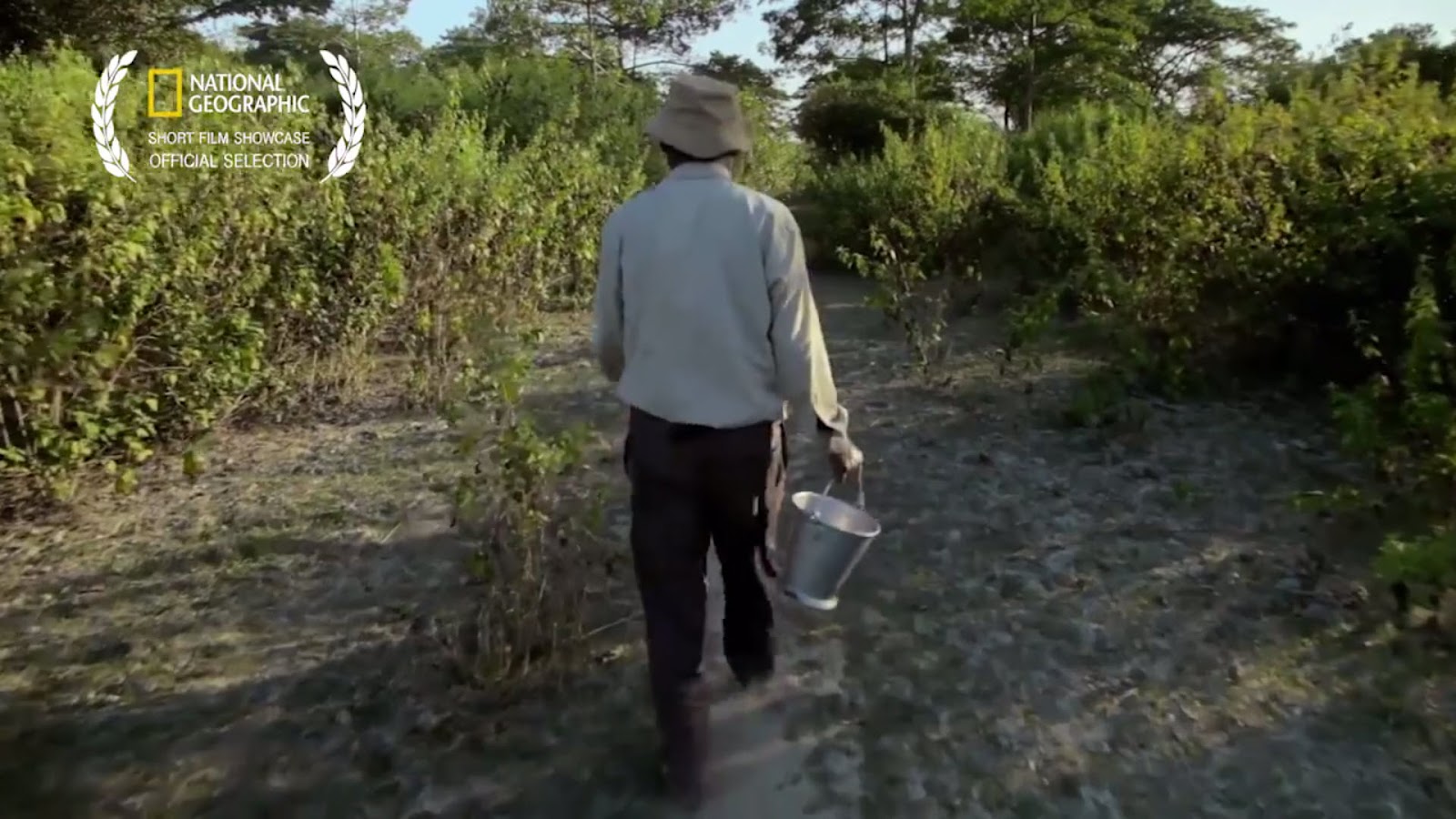 This Guy Has Been Planting Trees Each Day For 37 Years. The Result Is Mind-Blowing!