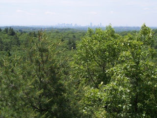 photo from Mount Gilead, Lynn Woods, Lynn