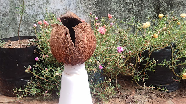 handmade coconut shell crafts